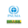 Programa das Nações Unidas para o Desenvolvimento Programa das Nações Unidas para o Desenvolvimento
